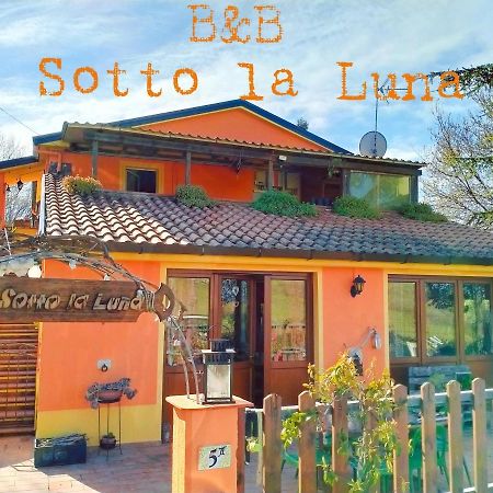 B&B Sotto La Luna Agugliano Exteriér fotografie