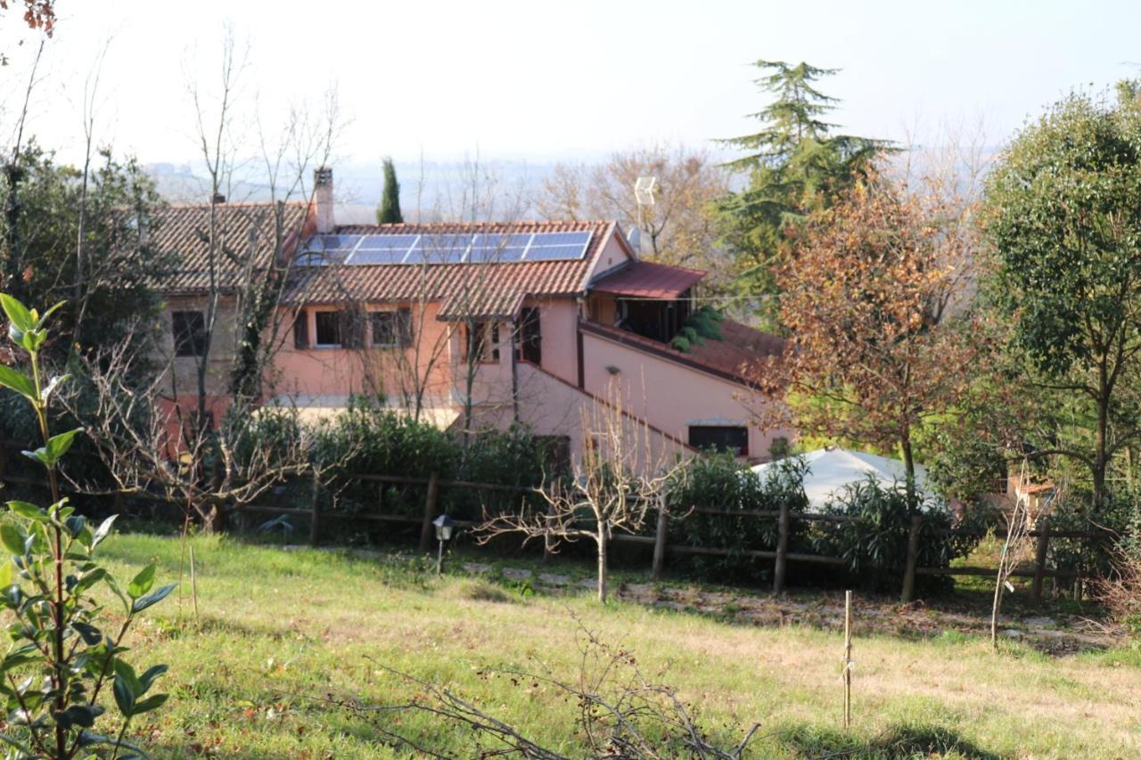 B&B Sotto La Luna Agugliano Exteriér fotografie