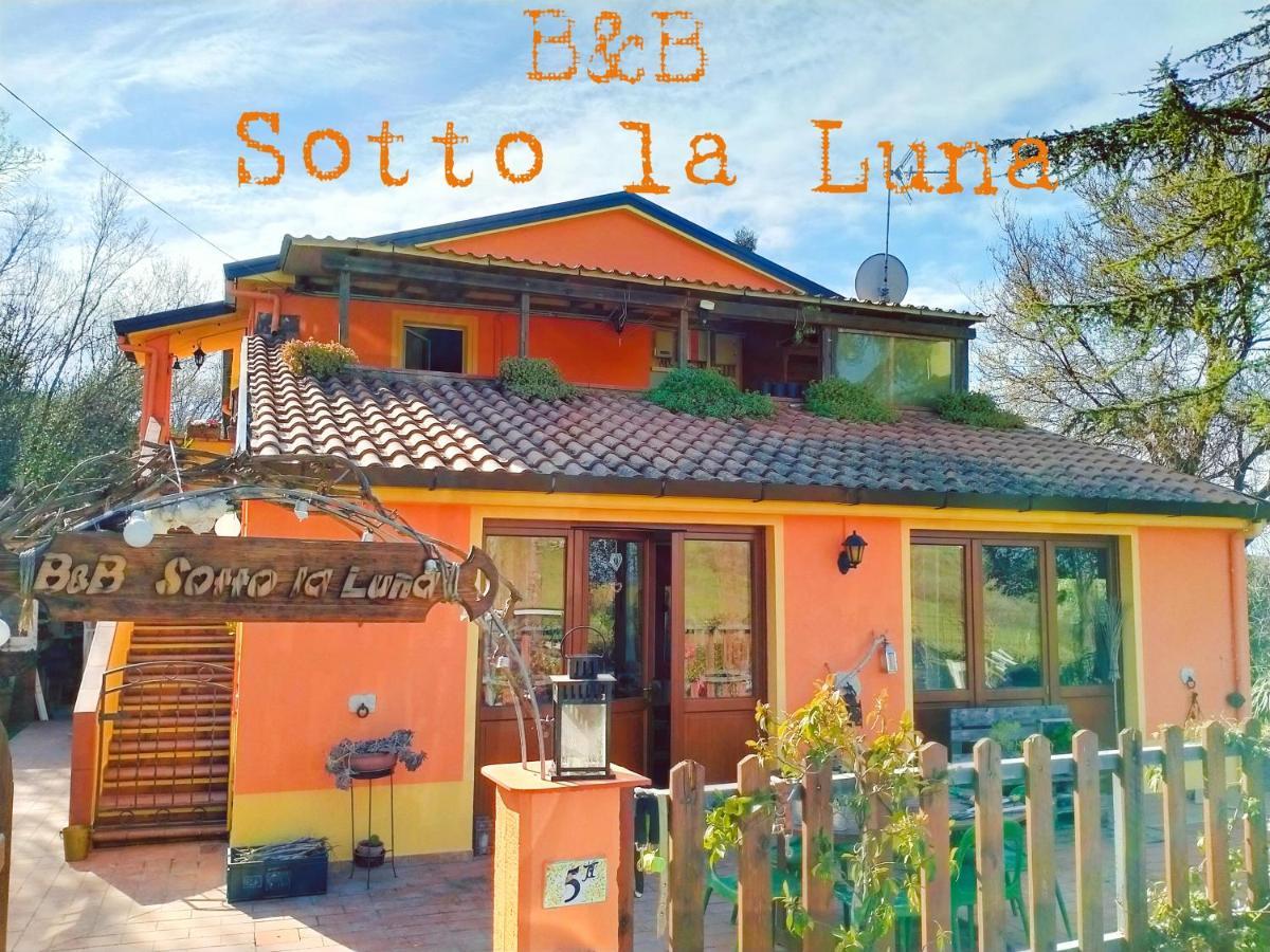 B&B Sotto La Luna Agugliano Exteriér fotografie