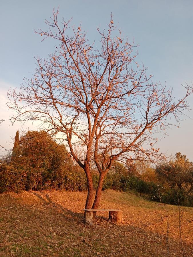 B&B Sotto La Luna Agugliano Exteriér fotografie