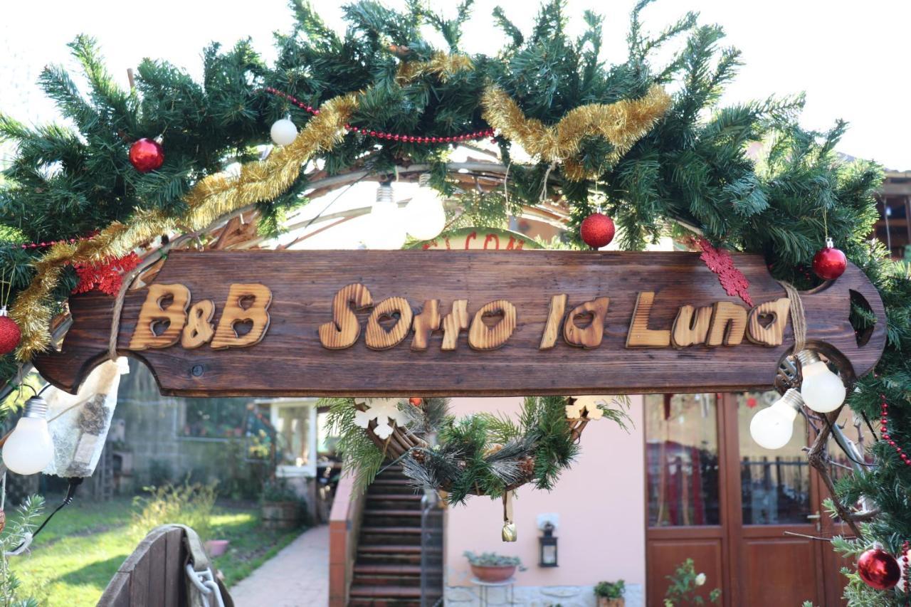 B&B Sotto La Luna Agugliano Exteriér fotografie