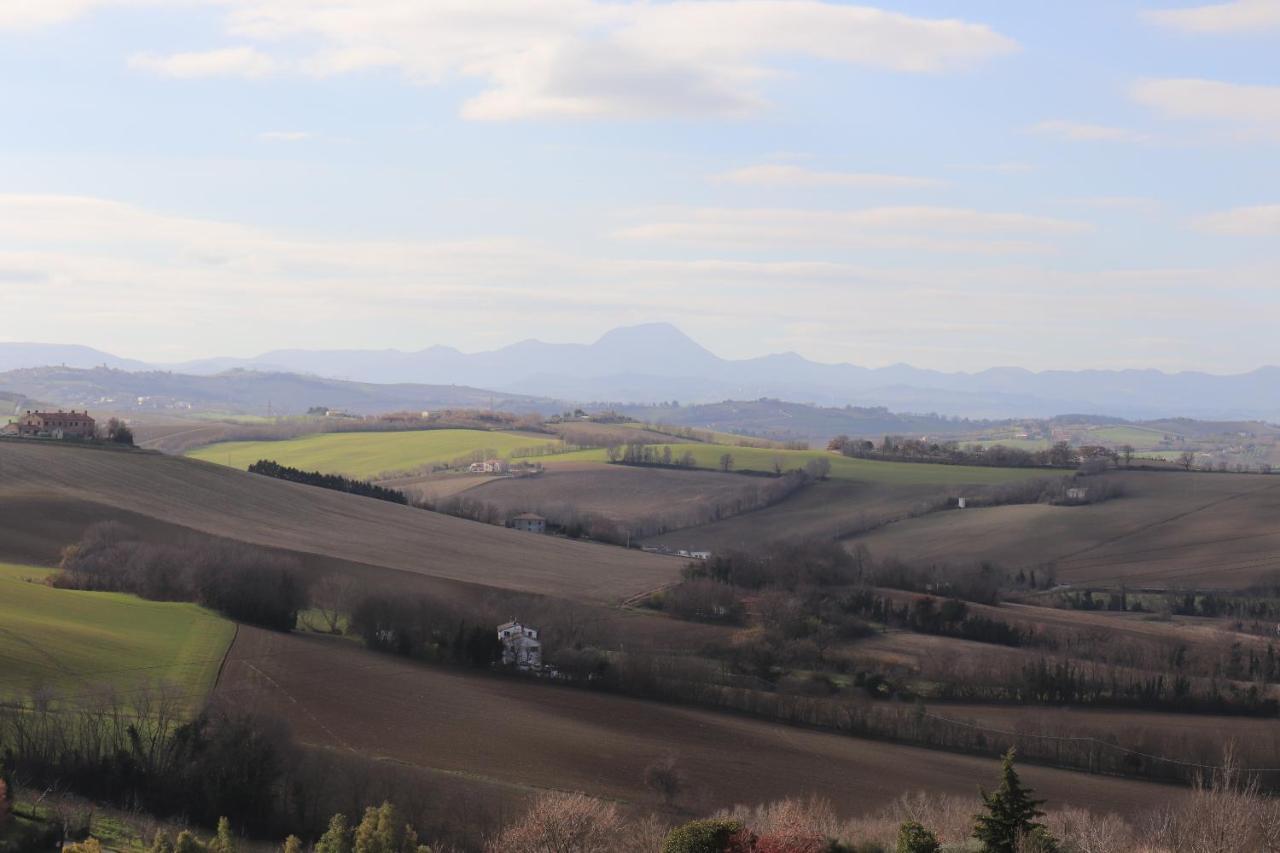 B&B Sotto La Luna Agugliano Exteriér fotografie